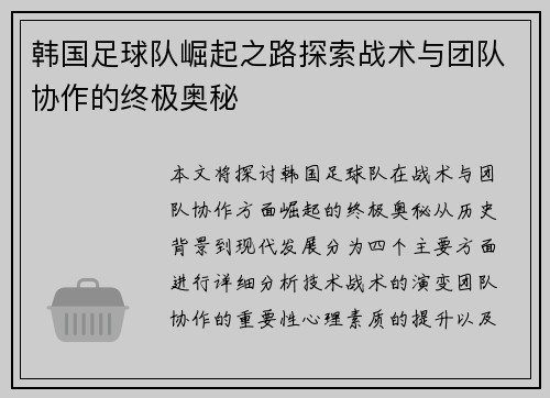 韩国足球队崛起之路探索战术与团队协作的终极奥秘