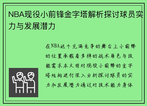 NBA现役小前锋金字塔解析探讨球员实力与发展潜力